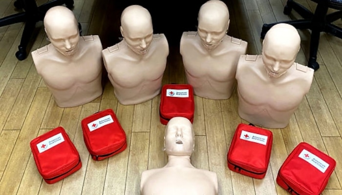 Cpr Dummies